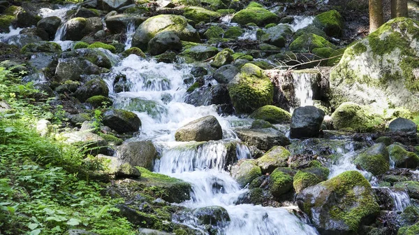 Stream Stones Flowing Mountains Morning Light — Stock Photo, Image