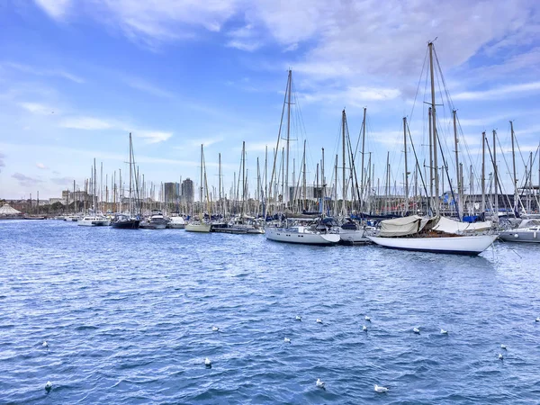 white modern yachts at sea port in Cannes, France