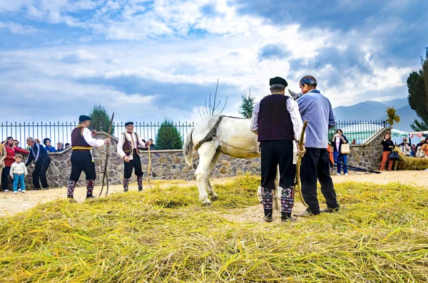 Кочани Македония Июнь 2015 Люди Одетые Традиционную Одежду Используют Лошадь — стоковое фото