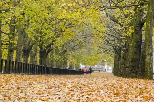 London Aproximativ Oct 2013 Jogging Hyde Park Vizitatorii Preferați Sporturilor — Fotografie, imagine de stoc