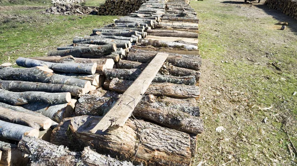 Hintergrund Von Getrockneten Brennholzstämmen Einem Haufen — Stockfoto