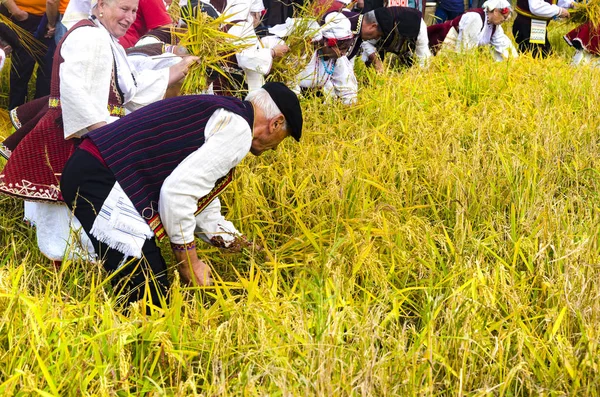 Kochani Macédoine Vers Juin 2015 Des Gens Vêtus Vêtements Traditionnels — Photo