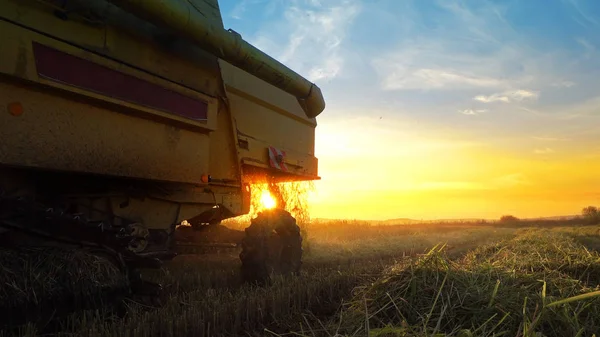 Combine harvester working in field on sunset background