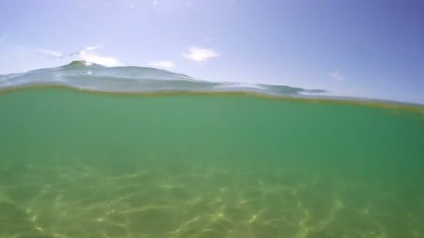 Demi Vue Sous Marine Fond Surface Eau Ondulant Gopro Dôme — Video