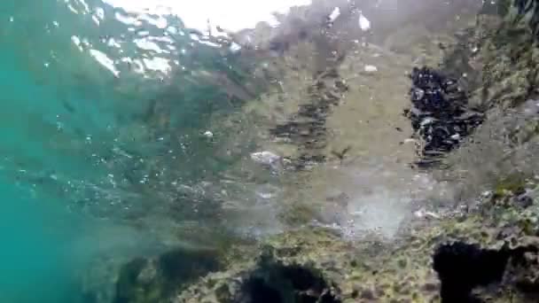 Vue Sous Marine Caméra Balançant Sur Les Vagues Mer Récif — Video