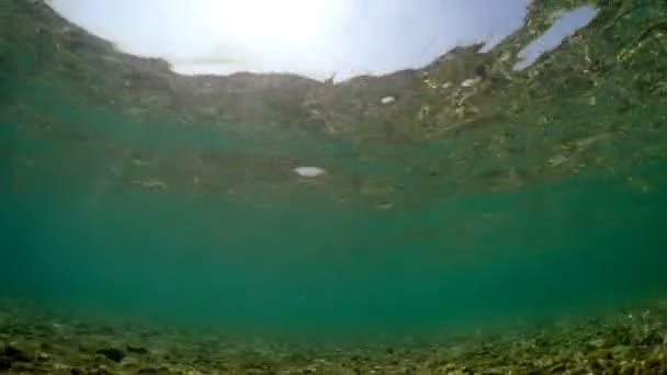 Sonnenstrahlen Flachen Meer Und Steinboden Unterwasserblick — Stockvideo
