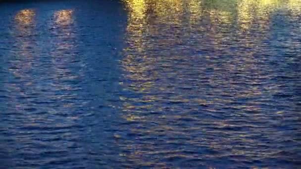塞纳河上天然深蓝色水面 巴黎圣母院灯光反射 — 图库视频影像