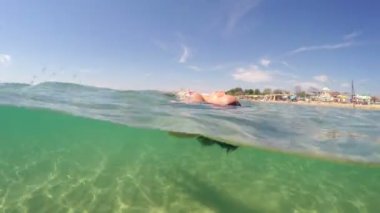 Sakin su yüzeyinde yüzen esmer kıvırcık kadın seksi mayo içinde sualtı