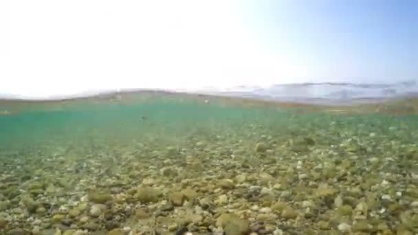 Modèle Mode Pieds Marchant Dans Eau Mer Peu Profonde Sur — Video