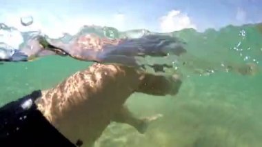 Geriye doğru deniz, gopro kubbe vurdu yüzme adamın POV