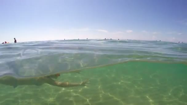 徒步浮潜女孩在海上绿松石水 Gopro 圆顶射击 — 图库视频影像