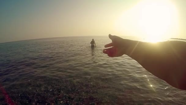 Personer Som Spelar Med Frisbee Den Stranden Bakgrundsbelyst Sommarsolen Sunset — Stockvideo