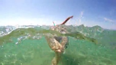 Denizde yüzme dalış, gopro kubbe vurmadım