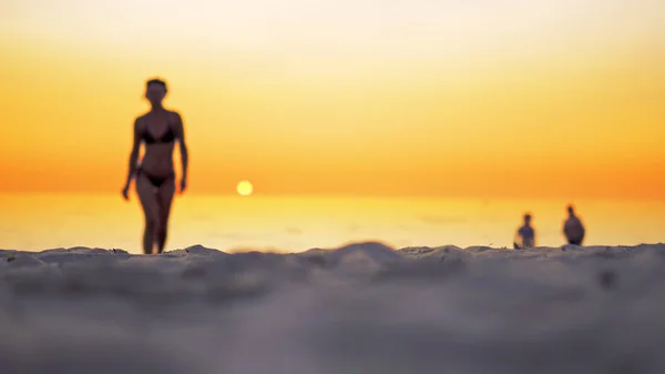 Filmische Weergave Van Fit Vrouw Bikini Lopen Het Strand Richting — Stockfoto