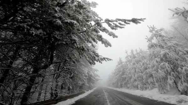 Vinter Bil Pov Snow Blizzard Med Dålig Sikt Berget Landsbygden — Stockfoto