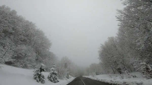 在一场暴雪中 汽车在冬路上行驶 — 图库照片