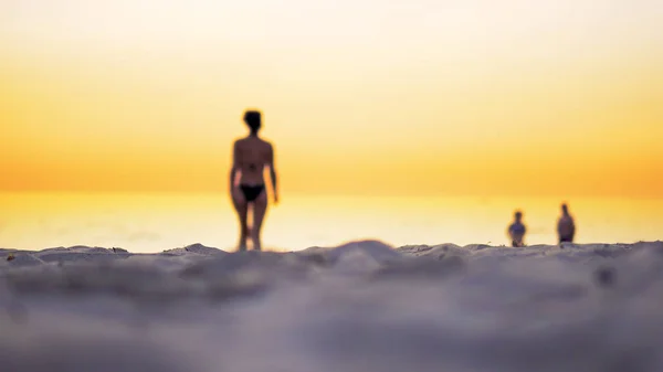 Widoku Kinowy Fit Kobiety Bikini Spaceru Plaży Kierunku Wody Morskiej — Zdjęcie stockowe