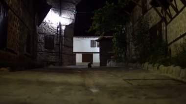 Vintage karanlık sokakta geceleri kediler. Eski ev ve sokak mimari Bansko, Bulgaristan