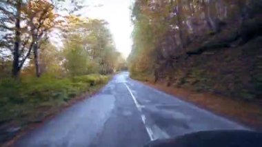 Araç noktası dağ sonbahar sarı ağaçları arasında kırsal yolu üzerinde sürüş görüş