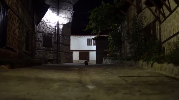 Gatos Callejón Oscuro Vintage Por Noche Casa Antigua Arquitectura Callejera — Vídeo de stock