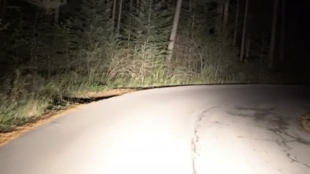 Driving Car Night Mountain Rural Road Forest Pov — Stock Video