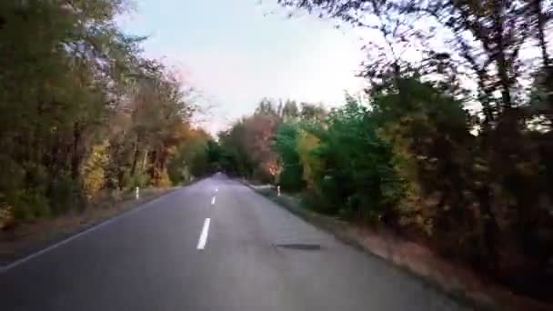 Ağaçlar Geçiş Tüneli Sonbahar Ile Kırsal Yolda Hızlı Spor Sürücü — Stok video