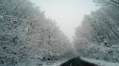 Dağ kırsal yolda kötü görüş ile kar blizzard üzerinde kış sürücü pov
