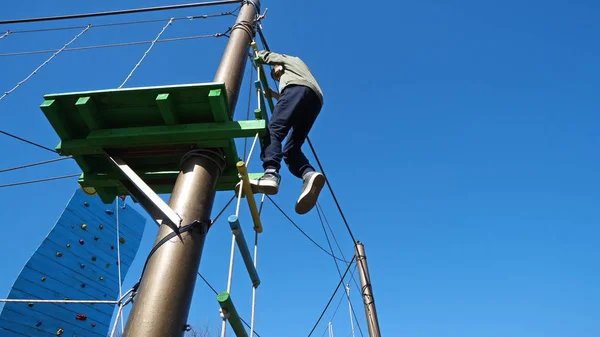 Niño Feliz Adolescente Saludable Escolar Disfrutando Actividad Parque Aventura Escalada — Foto de Stock