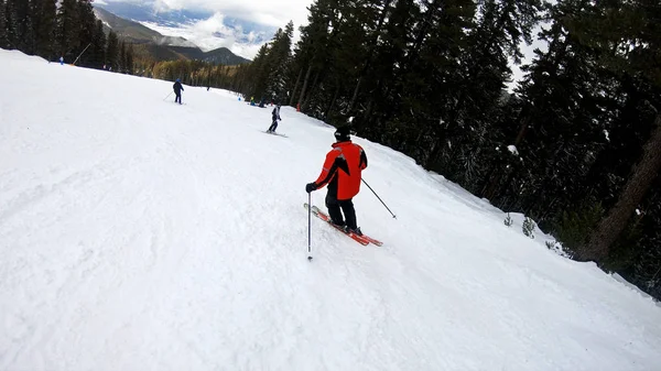 Pov Amateur Skier Enjoys Idyllic Perfect Weather Winter Day Recreation — Stock Photo, Image