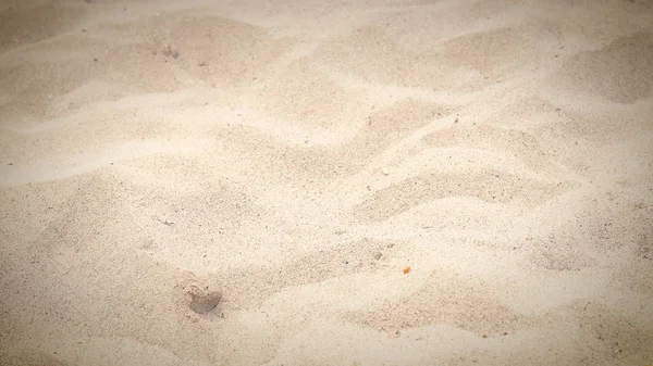 Detail Dessert Beach Sand — Stock Photo, Image