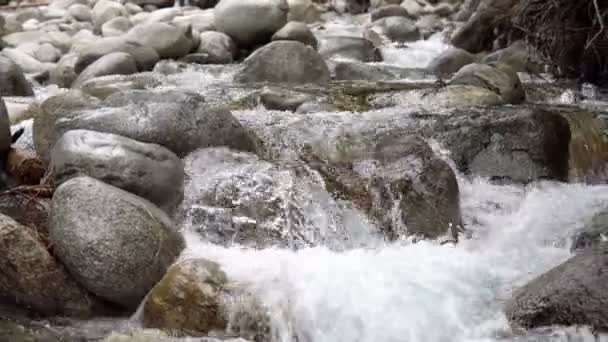 Rivière Montagne Ruisseau Avec Rochers Ronds Incurvés Pierre — Video