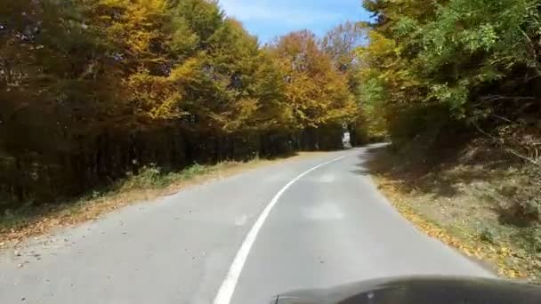 汽车驾驶在惊人的秋天之中 秋天的树在山森林 — 图库视频影像