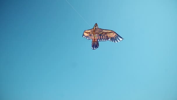 Drachen Fliegen Blauem Himmel Mit Wolken Freiheit Und Sommerferienkonzept — Stockvideo