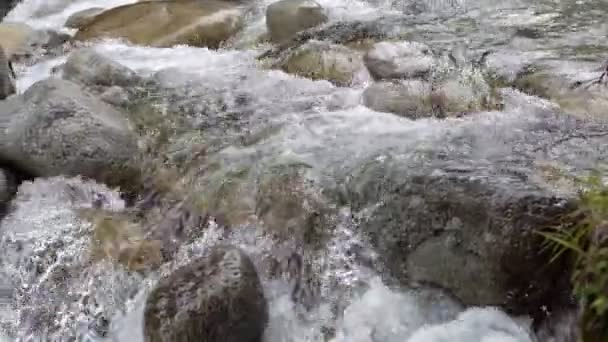 Cascadas Agua Sobre Rocas Esta Hermosa Escena Otoño Montaña — Vídeo de stock