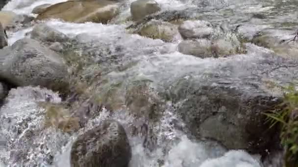 Water Cascades Stroomt Rotsen Deze Prachtige Berg Herfst Scène — Stockvideo