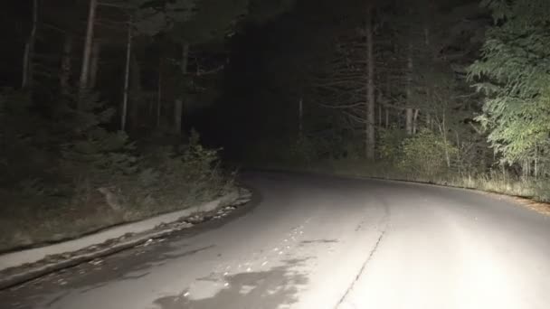 Dağ Manzaralı Orman Çam Ağaçlarının Ülkede Yol Üzerinde Gece Sürüş — Stok video