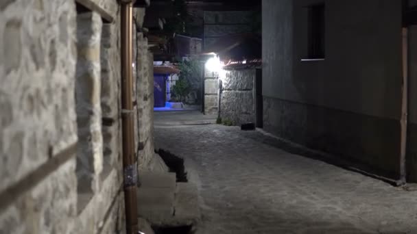 老式黑暗的小巷在晚上 保加利亚班斯科的老房子和街道建筑 — 图库视频影像