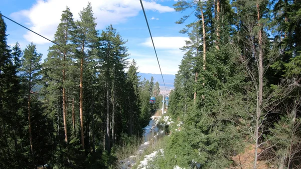 POV from gondola cabin ski lift ride between pine forest trees. It transport skiers and people from Bansko to Banderitsa ski slope station on Pirin mountain