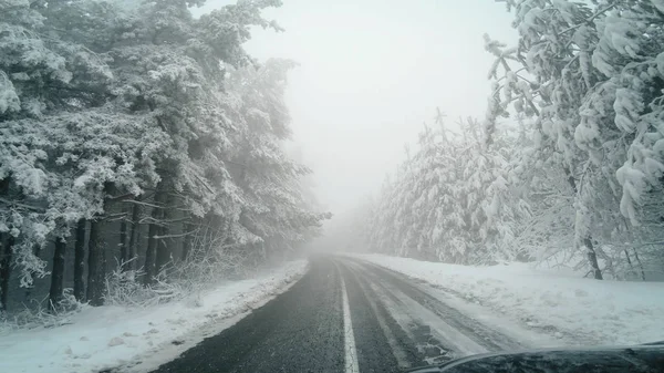 Auto Pov Rijden Gevaarlijke Winter Bergweg Met Dennenbos Slecht Zicht — Stockfoto