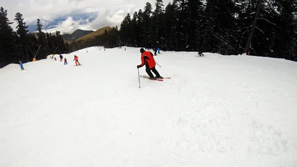 Pov Siguiendo Esquiador Aficionado Disfruta Del Idílico Clima Perfecto Día —  Fotos de Stock