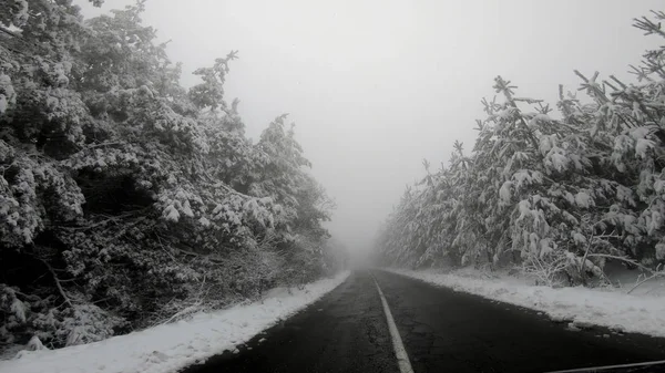 Balade Hivernale Sur Blizzard Neigeux Avec Mauvaise Visibilité Sur Route — Photo