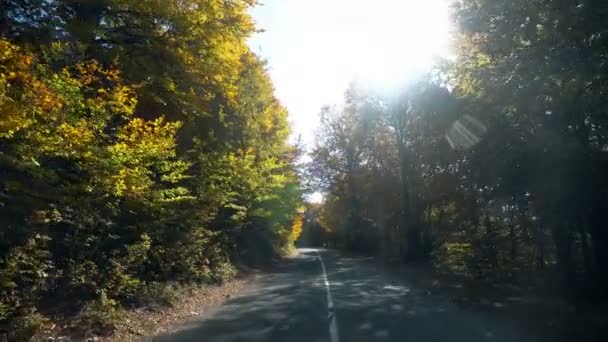 Pov Dirigindo Uma Estrada Sinuosa Montanha Outono Ângulo Largo — Vídeo de Stock