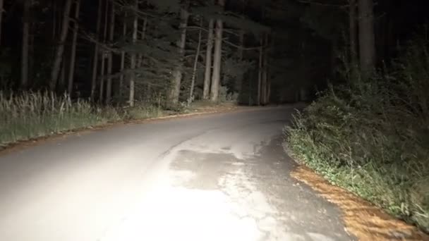 Auto Rijdt Door Het Bos Point View Besturen — Stockvideo