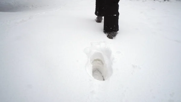 Жіночі Ноги Йдуть Глибоким Снігом Лісі Чоботях — стокове фото