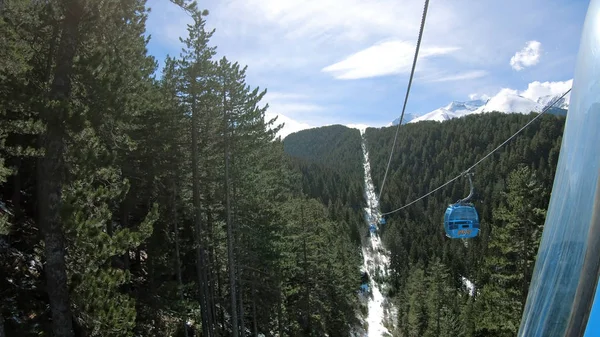 POV from gondola cabin ski lift ride between pine forest trees. It transport skiers and people from Bansko to Banderitsa ski slope station on Pirin mountain