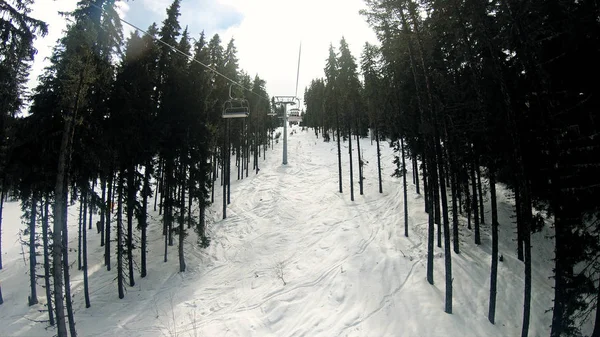 Ski Lift Pov Genom Pine Skogsområde Vid Soluppgången Som Transporterar — Stockfoto