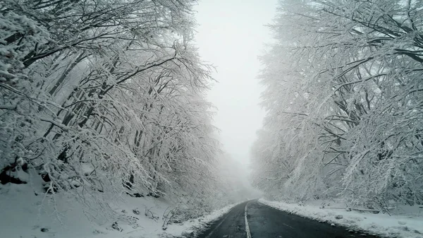 Bilen Kör Vinterväg Snöstorm Pov — Stockfoto