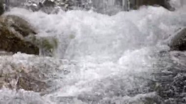 Tatlı su formları hızlı rapids dan dağ nehir dere