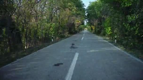 Timelapse Nopea Urheilu Ajaa Maaseudulla Tie Puiden Kulku Tunneli — kuvapankkivideo