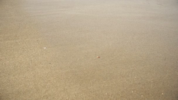 湖平静波浪洗涤沙子表面 电影特写背景 — 图库视频影像